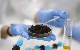 Scientific study reveals promising prospects for sustainable agriculture in UAE - UAE